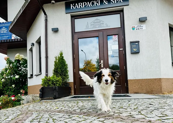 Nocleg ze śniadaniem Karpacki&spa 3*