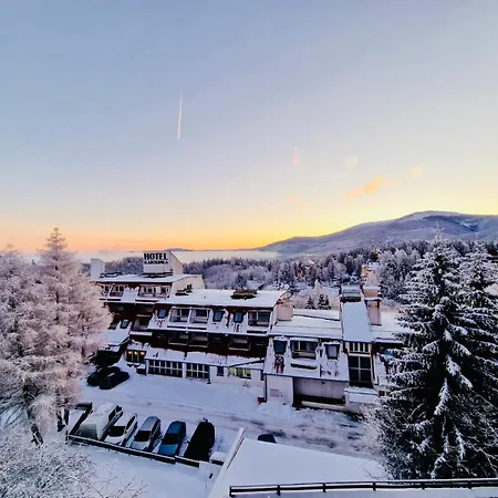 Bed & Breakfast Karpacki & - Blisko Wyciagu, Restauracja, Sala Zabaw, Bar 24h (adults Only) Karpacz