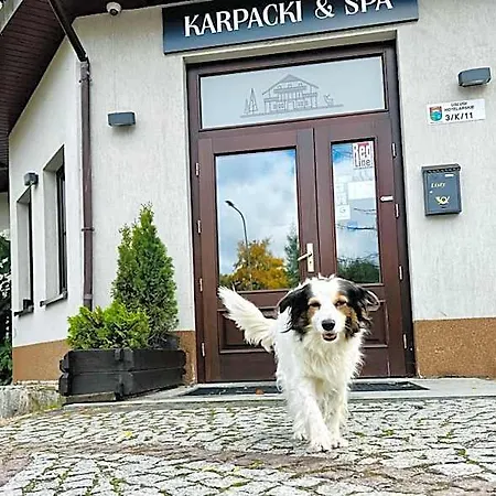 Karpacki & - Blisko Wyciagu, Restauracja, Sala Zabaw, Bar 24h (adults Only) B&B