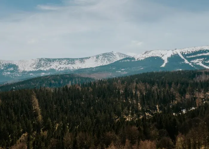 Karpacki & - Blisko Wyciagu, Restauracja, Sala Zabaw, Bar 24h (adults Only)